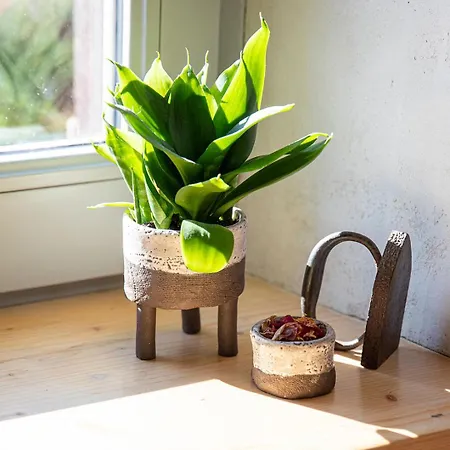 La Fee Capucine - Et Table D'hotes - Espace Bien-etre Et Massages Bed & Breakfast *